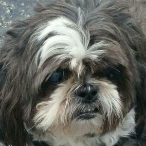 Meet your Posher, Wendy